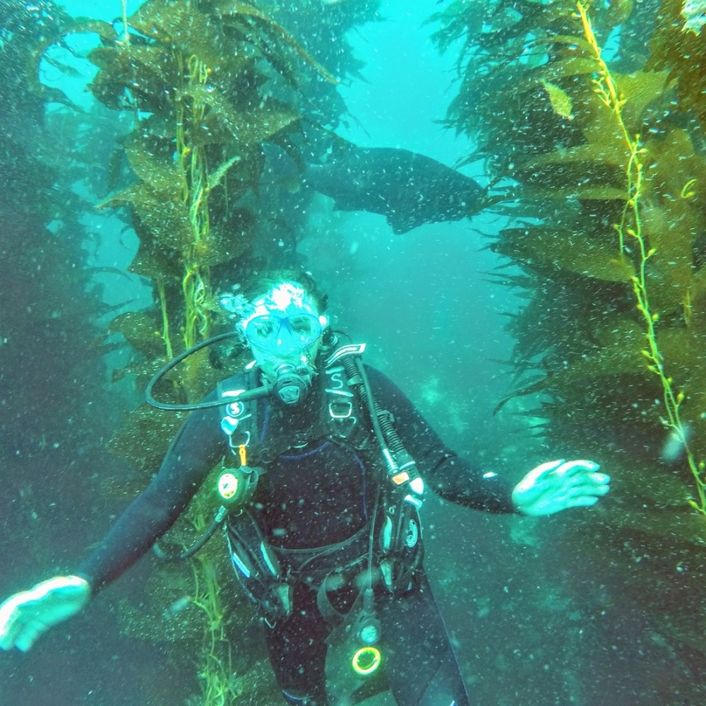 Meet your Posher, Alixius